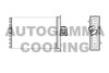 AUTOGAMMA 101608 Heat Exchanger, interior heating